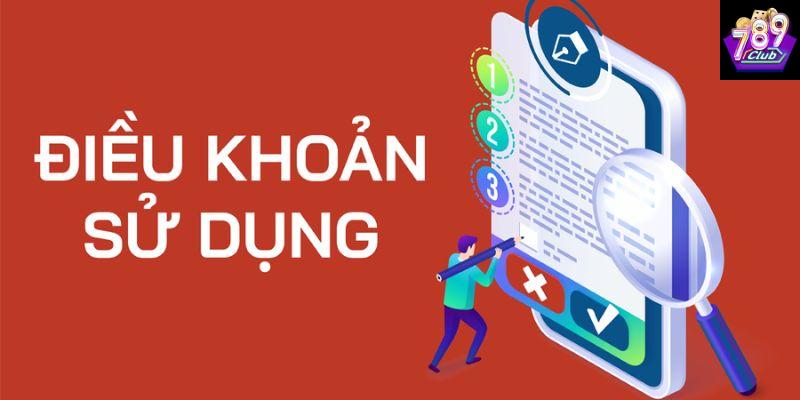 Phân tích chi tiết điều khoản sử dụng trong từng mảng chính